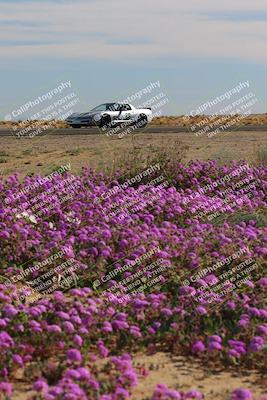 media/Jan-08-2023-SCCA SD (Sun) [[8f6a5b9391]]/Intermediate Group/Session 2 (Short Straight)/